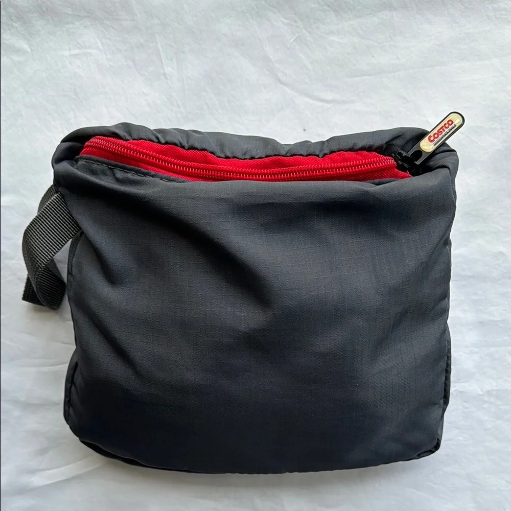 Brand New Costco Backpack with Innovative Design NWOT